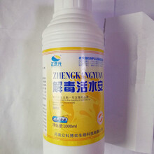 世連健康集團 引領食品銷售新潮流，守護全民健康生活