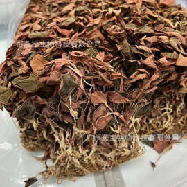 金線蓮500藥品批發(fā)指南 選購、優(yōu)勢與市場前景